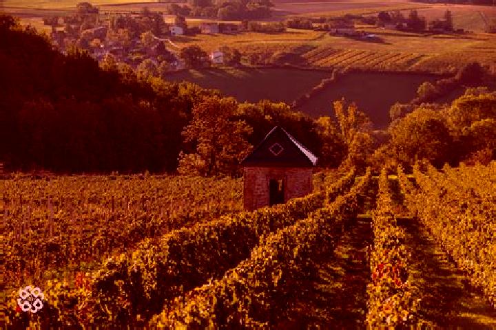 Escorts Corcelles-en-Beaujolais, France — Local Companions