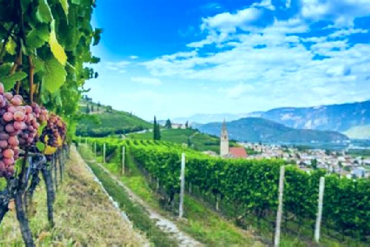 Escorts Cortaccia sulla Strada del Vino, Italy — Local Companions