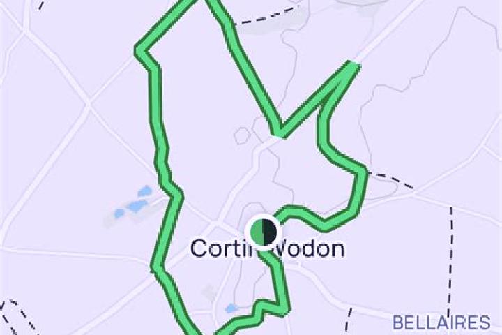 Escorts Cortil-Wodon, Belgium — Local Companions
