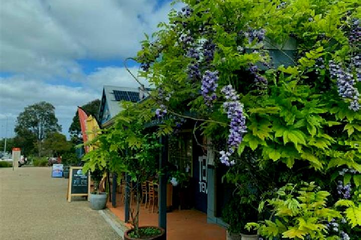 Escorts Cowaramup, Australia — Local Companions