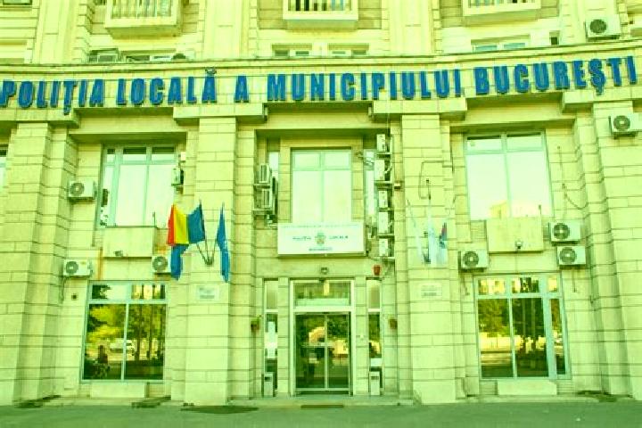 Escorts Crang, Romania — Local Companions