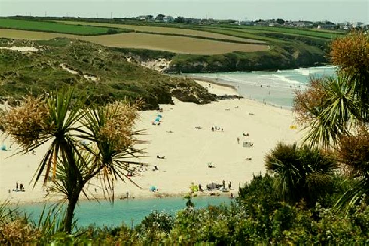 Escorts Crantock, United Kingdom — Local Companions