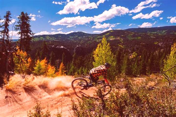 Escorts Crested Butte, United States — Local Companions