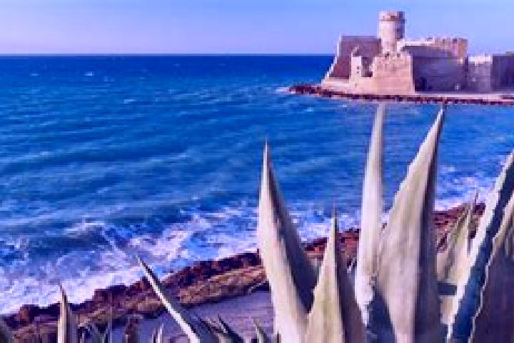 Escorts Crotone, Italy — Local Companions