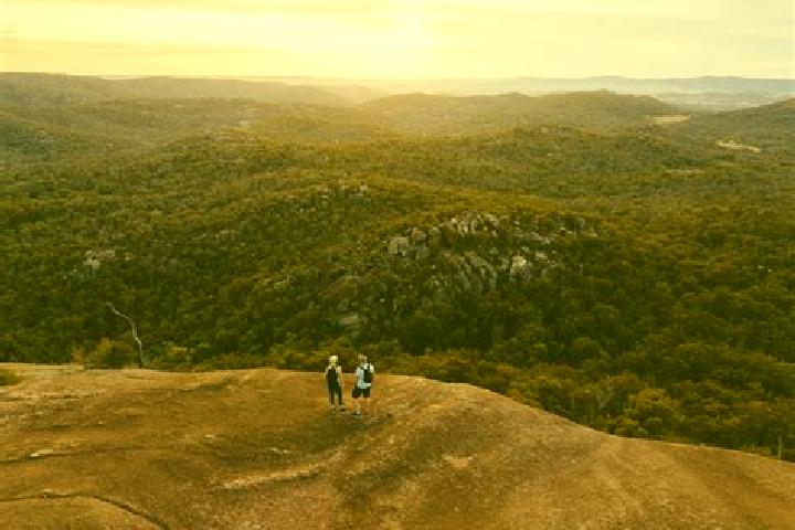Escorts Crows Nest, Australia — Local Companions