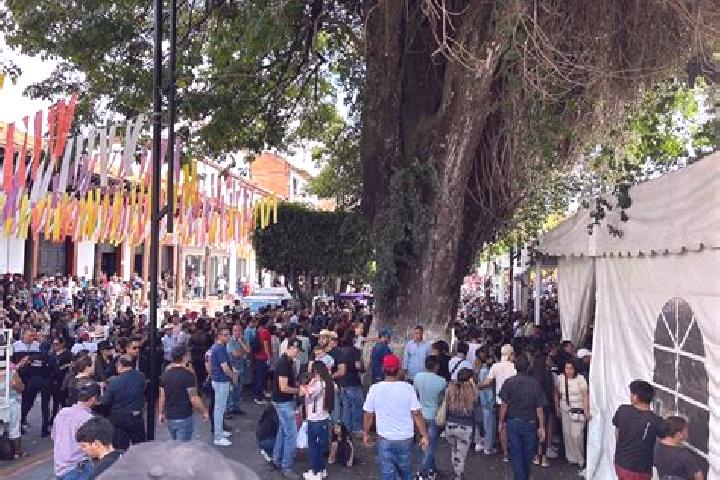 Escorts Crutzitzin, Mexico — Local Companions