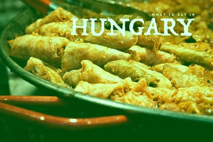 Escorts Csanadpalota, Hungary — Local Companions