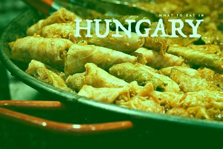 Escorts Csarnoknegyed, Hungary — Local Companions