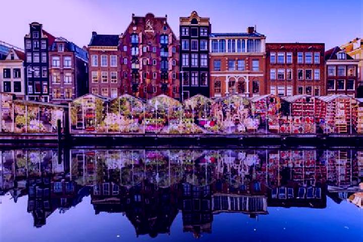 Escorts Culemborg, Netherlands — Local Companions