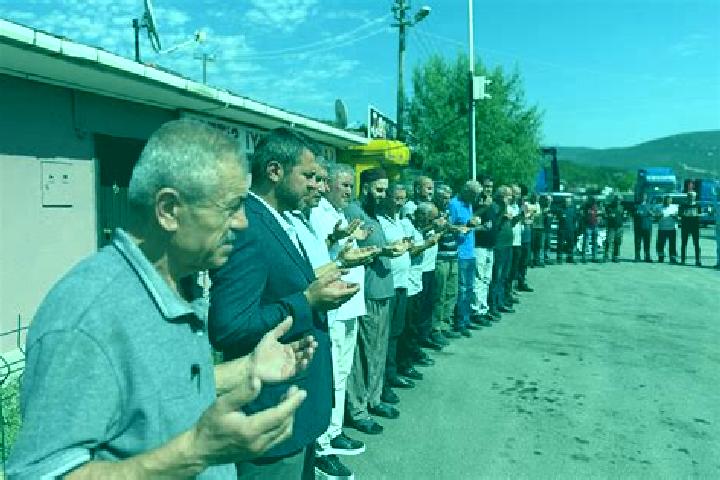 Escorts Cumayani, Turkey — Local Companions