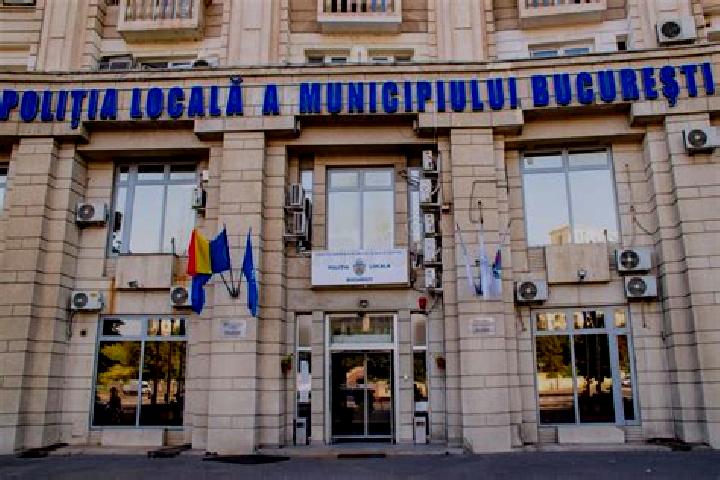 Escorts Curcani, Romania — Local Companions