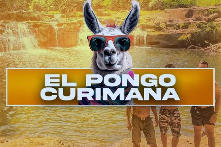 Escorts Curimana, Peru — Local Companions