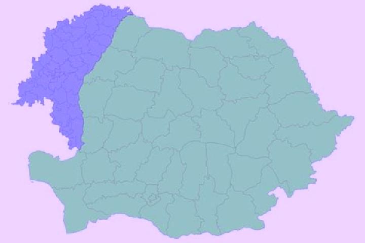 Escorts Cut, Romania — Local Companions