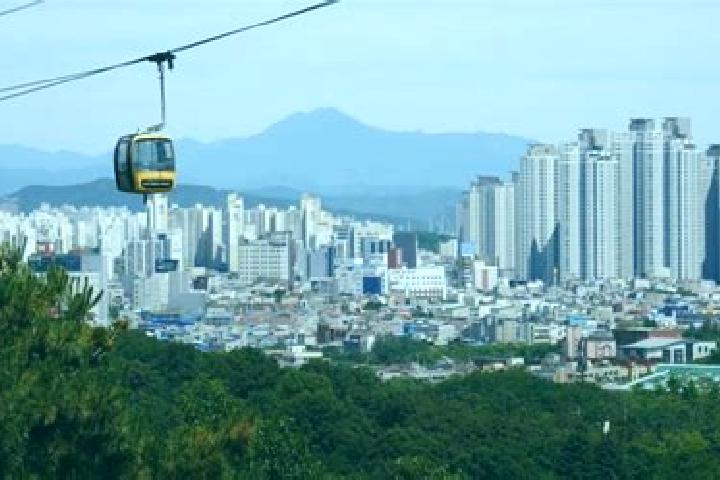 Escorts Daegu, South Korea — Local Companions
