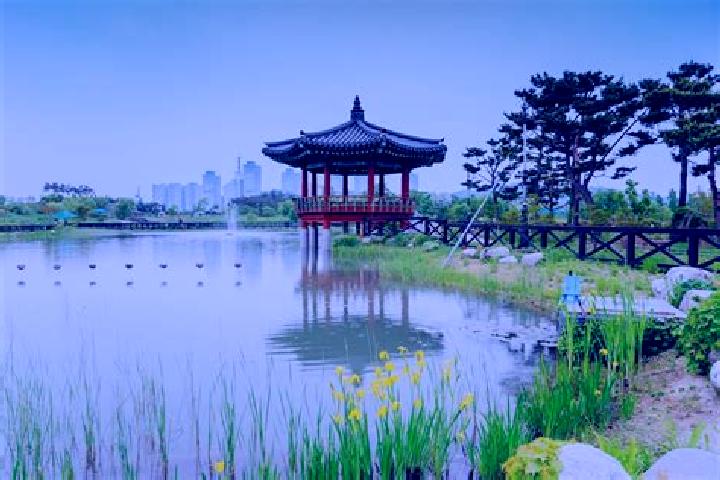 Escorts Daejeon, South Korea — Local Companions