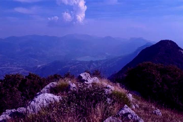 Escorts Dajt, Albania — Local Companions