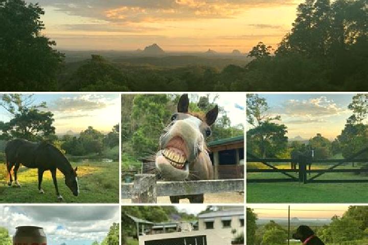 Escorts Dakabin, Australia — Local Companions