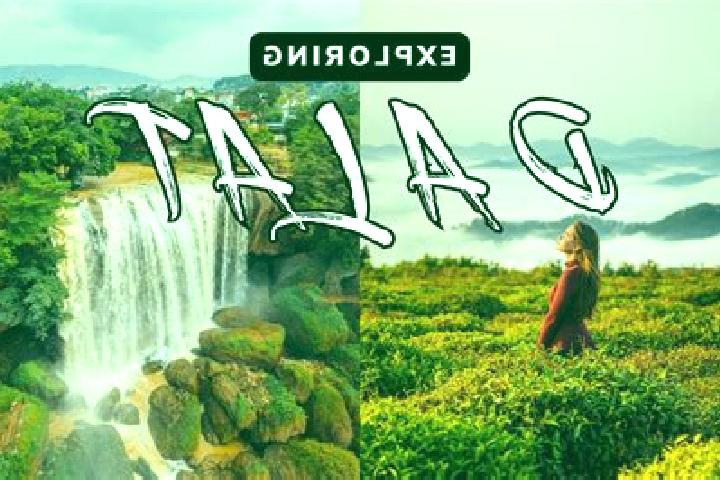 Escorts Dalat, Malaysia — Local Companions
