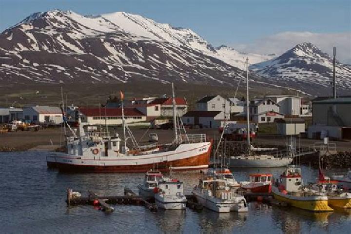 Escorts Dalvik, Iceland — Local Companions
