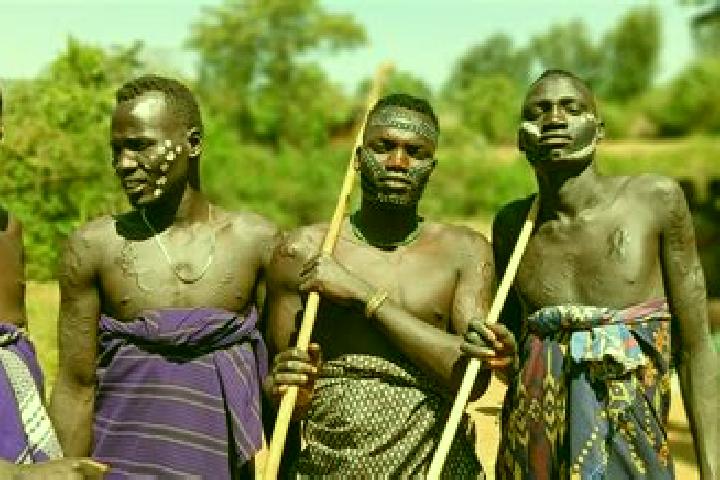 Escorts Damboya, Ethiopia — Local Companions