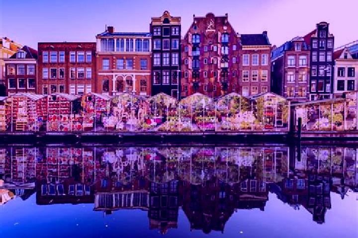 Escorts Damwald, Netherlands — Local Companions