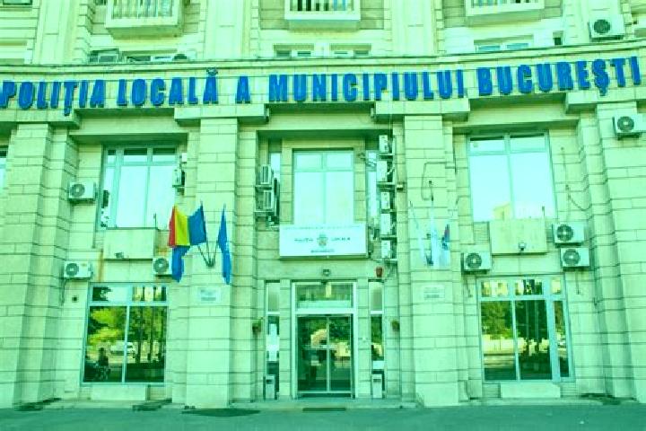 Escorts Danesti, Romania — Local Companions
