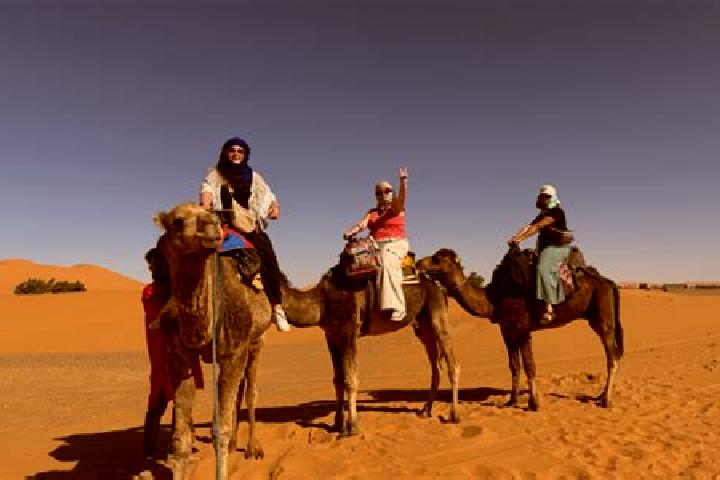 Escorts Daoura, Western Sahara — Local Companions