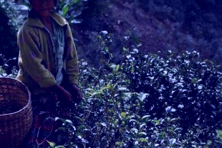 Escorts Dar Pein South, Myanmar — Local Companions