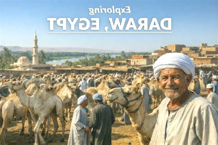 Escorts Daraw, Egypt — Local Companions