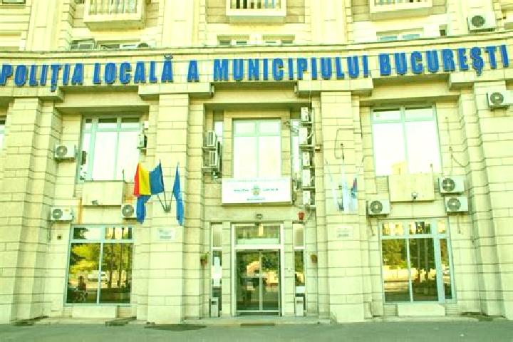 Escorts Darova, Romania — Local Companions