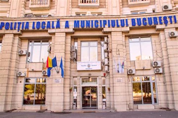 Escorts Davidesti, Romania — Local Companions