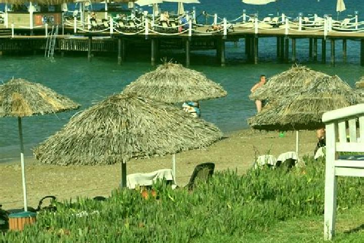 Escorts Davutlar, Turkey — Local Companions