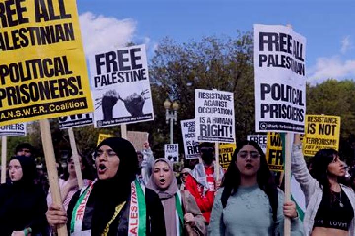 Escorts Dayr al Ghusun, Palestine — Local Companions
