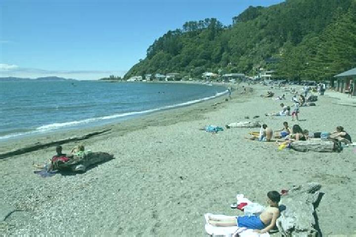 Escorts Days Bay, New Zealand — Local Companions
