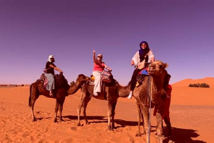 Escorts Dchira, Western Sahara — Local Companions