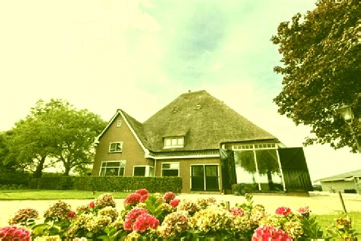 Escorts De Goorn, Netherlands — Local Companions