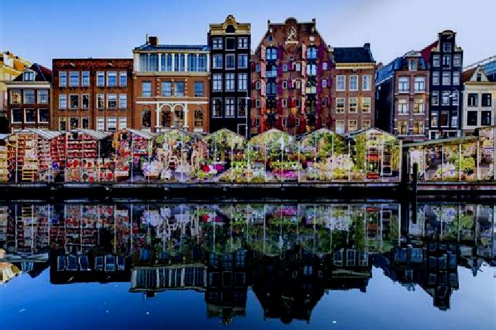 Escorts De Moer, Netherlands — Local Companions