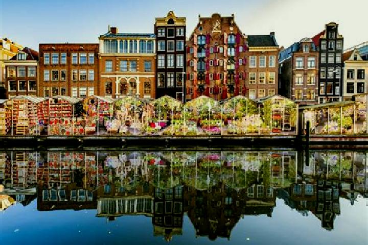 Escorts De Mortel, Netherlands — Local Companions