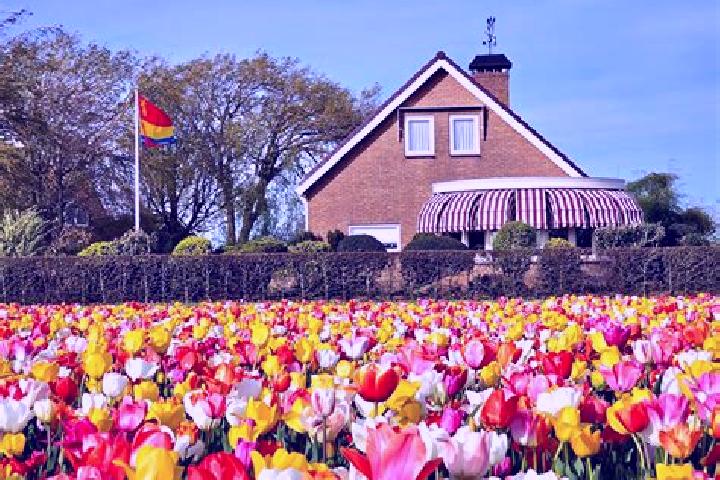 Escorts De Peulen, Netherlands — Local Companions