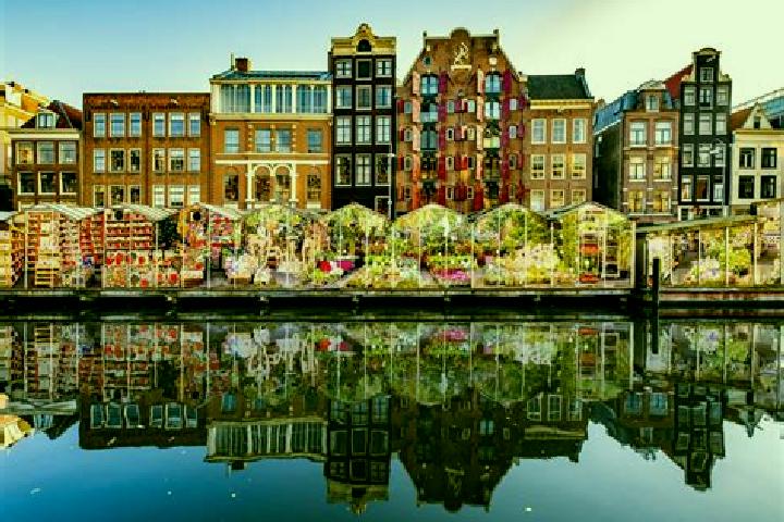 Escorts Deest, Netherlands — Local Companions
