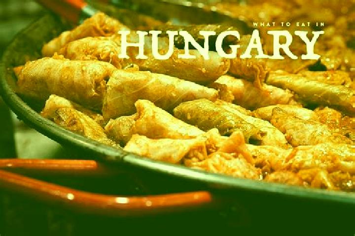 Escorts Delegyhaza, Hungary — Local Companions