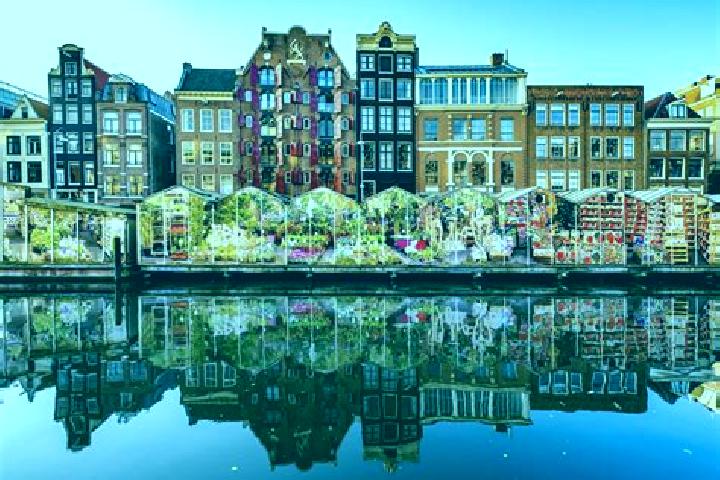Escorts Delfshaven, Netherlands — Local Companions