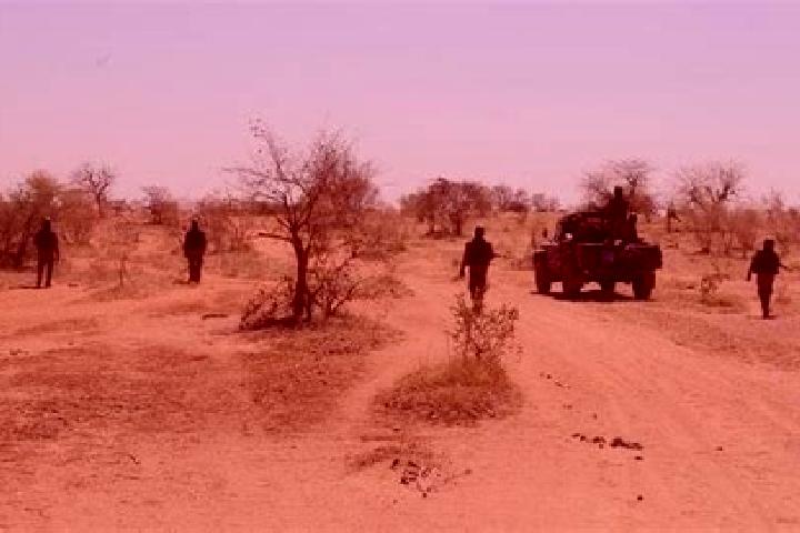 Escorts Deou, Burkina Faso — Local Companions