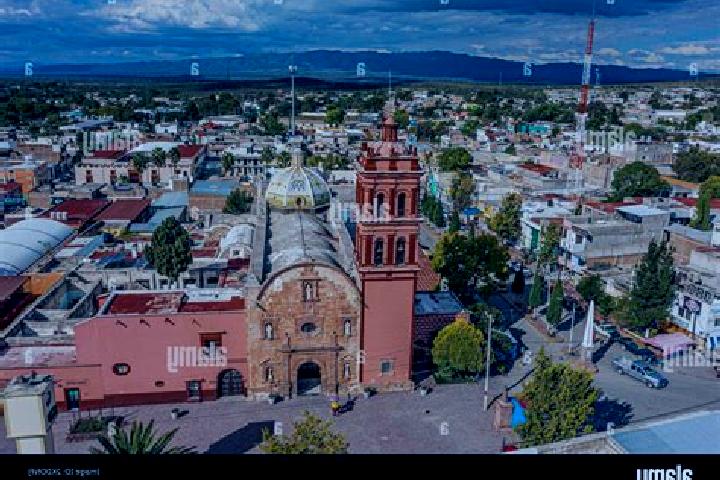 Escorts Derramadero de Charcas, Mexico — Local Companions