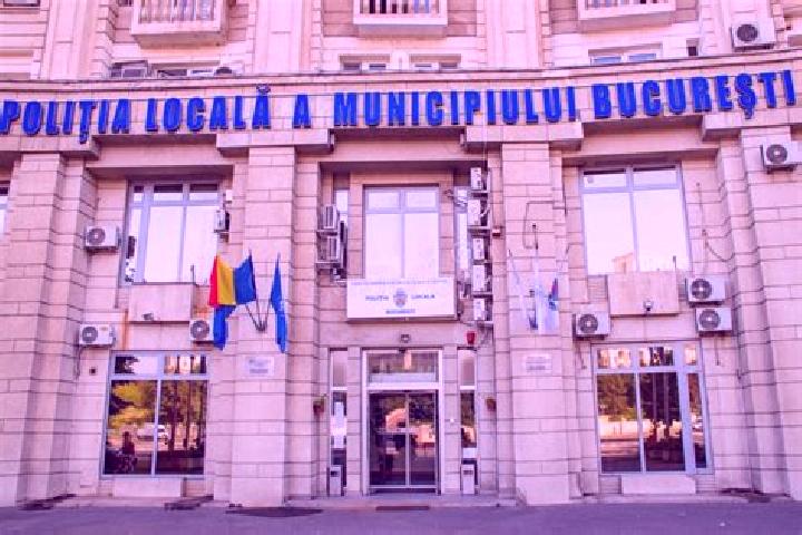 Escorts Desesti, Romania — Local Companions