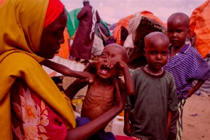 Escorts Dhabad, Somalia — Local Companions