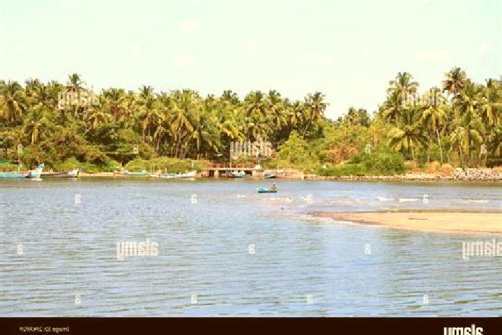 Escorts Dharmadam, India — Local Companions