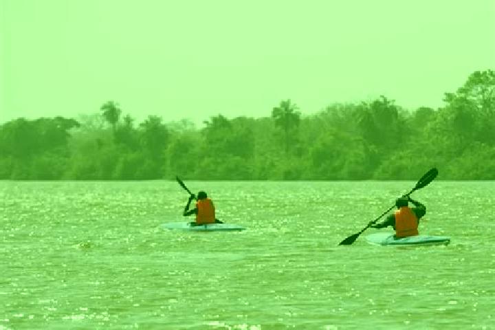 Escorts Diabugu Basilla, Gambia — Local Companions