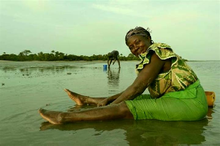 Escorts Diabugu, Gambia — Local Companions