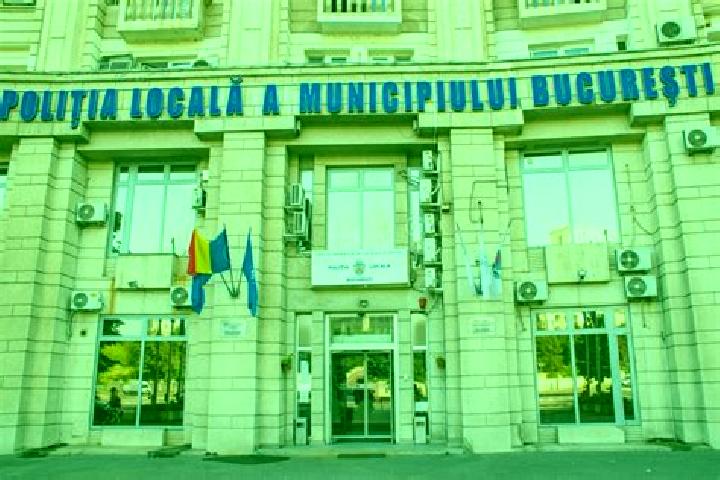 Escorts Dianu, Romania — Local Companions